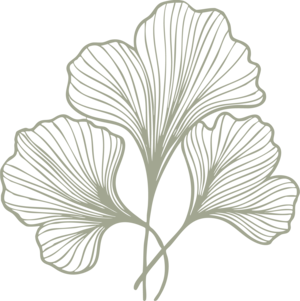 Motif floral ginkgo au trait noir