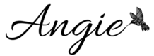 logo Angie Bien Etre